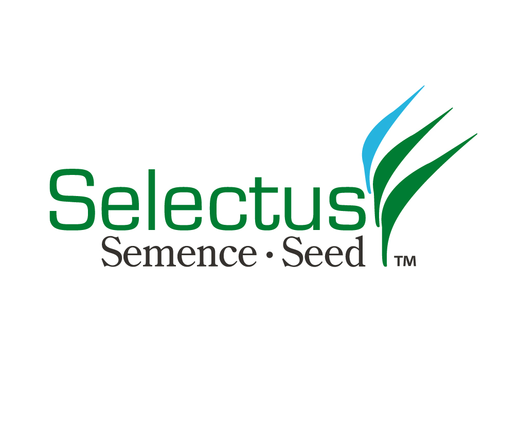 Selectus turf seeds